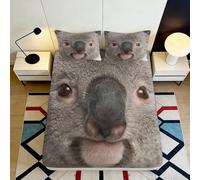 Drap Housse Koala imprimé 3D Microfibre Ensemble Chambre antidérapant Deep Pocket Koala Housse Matelas Adulte Jeune Enveloppant Lavable 200x200x25cm