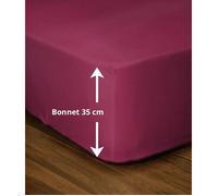 Drap-housse - - LH71607 - 180x200+35 cm - Fuchsia
