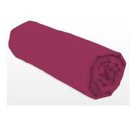 Drap-housse - LOVELY HOME - LH71609 - 140x190+35 cm - Fuchsia