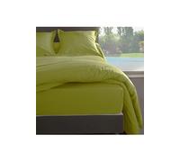 - Drap housse - percale de coton - 140 x 190 x 30 cm - Couleur Bambou