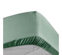 Douceur d'Intérieur Drap-housse Percaline Tilleul 100 % percale de coton 90 x 190 cm