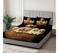 Drap Housse Photographie Animaux Chiens Drap Housse Bonnet 30cm Matelas en Microfibre, Doux et Durable Respirant avec Élastique Tout Autour, Noir, 180 x 200 cm