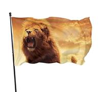 Drapeau 0,9 x 1,5 m Bannière décorative d'extérieur Grand Animal Lion Drapeau amusant Couleur vive en polyester pour décoration int