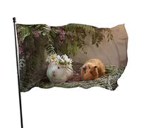 Drapeau 0,9 x 1,5 m Bannière décorative d'extérieur Grand Cochons d'Inde Lilas Paille Drapeau amusant Couleur vive en polyester pou