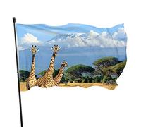 Drapeau 0,9 x 1,5 m Bannière décorative d'extérieur Grand Faune Bleu ciel Montagne Couleur vive en polyester pour déc