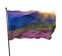 Drapeau 0,9 x 1,5 m Bannière décorative d'extérieur Grand Fleurs sur la vallée et la montagne Drapeau amusant Couleur vive en sais