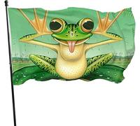 Drapeau 0,9 x 1,5 m Bannière décorative d'extérieur Grand Grenouille drôle Couleur vive en polyester pour décoratio