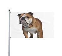 Drapeau 0,9 x 1,5 m Bannière décorative d'extérieur Grand Impression de bouledogue anglais Drapeau amusant Couleur vive en de fest