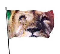 Drapeau 0,9 x 1,5 m Bannière décorative d'extérieur Grand Lion Couleur vive en polyester pour décoration d'intérieur