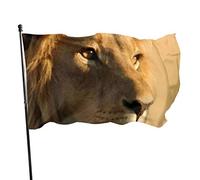 Drapeau 0,9 x 1,5 m Bannière décorative d'extérieur Grand Lion Couleur vive en polyester pour décoration d'intérieur