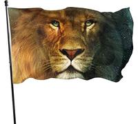 Drapeau 0,9 x 1,5 m Bannière décorative d'extérieur Grand Lion Couleur vive en polyester pour décoration d'intérieur