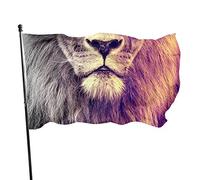 Drapeau 0,9 x 1,5 m Bannière décorative d'extérieur Grand Lion Couleur vive en polyester pour décoration d'intérieur