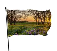 Drapeau 0,9 x 1,5 m Bannière décorative d'extérieur Grand Paysage de campagne avec prairie de lavande Couleur vive en