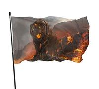 Drapeau 0,9 x 1,5 m Bannière décorative d'extérieur Grand Tigre avec flamme Drapeau amusant Couleur vive en polyester pour décorati