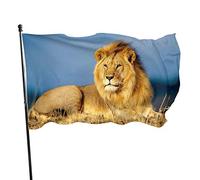 Drapeau 0,9 x 1,5 m Bannière décorative d'extérieur Lion doré Couleur vive Premium Polyester Yard Drapeau Festival saisonnier Drôle Grand jardin, maison,