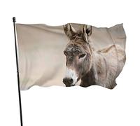 Drapeau 0,9 x 1,5 m extérieur décoratif bannière âne mignon jardin drapeau couleur vive Premium polyester Yard festival drôle grand on décora
