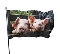 Drapeau 0,9 x 1,5 m extérieur décoratif bannière grand cochons drôles drôle drapeau couleur vive polyester cour extérieur intérieur dé