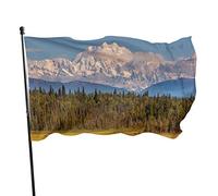 Drapeau 0,9 x 1,5 m extérieur décoratif bannière grand forêt neige montagne rivière drôle drapeau couleur vive polyester cour extérieu