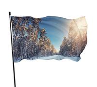 Drapeau 0,9 x 1,5 m extérieur décoratif bannière grand hiver neige forêt drôle drapeau couleur vive polyester cour extérieur intérieur