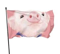 Drapeau 0,9 x 1,5 m extérieur décoratif bannière grand mignon cochon rose drôle drapeau couleur vive polyester cour extérieur intérieu