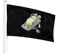 Drapeau 3 X 5 LET'S GET PHYSICAL 100% Polyester Monocouche Drapeaux Translucides 90 X 150CM