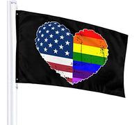 Drapeau 3 X 5 LGBT USA Drapeau Coeur 100% Polyester Monocouche Drapeaux Translucides 90 X 150CM