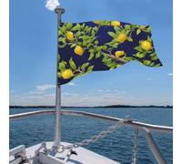 Drapeau 4 x 6 pi Citronnier Drapeaux amusants de vacances pour toutes les saisons pour l'extérieur saisons pour la décoration de dortoir Fêtes en pl