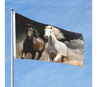 Drapeau 60 cm x 90 cm pour extérieur et intérieur avec œillets Printemps Été Cheval passant à travers les nuages Drapeaux pour extérieur Jardin Cour Bannière décorative Drapeau de bienvenue saisonnier