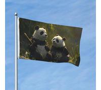 Drapeau 90 x 150 cm - Décoration de jardin - Bannière robuste - Deux grands pandas - Bannière d'extérieur avec 2 œillets - Drapeaux de bienvenue pour les vacances en toutes saisons