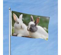 Drapeau 90 x 150 cm - Décoration de jardin - Bannière robuste - Deux petits lapins mignons - Bannière d'extérieur avec 2 œillets - Drapeaux de bienvenue pour les vacances en toutes saisons