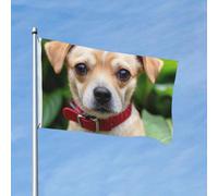 Drapeau 90 x 150 cm - Décoration d'extérieur robuste - Drapeaux de jardin de petite taille - En polyester 200D - Bannière de cour avec 2 œillets - Bannière d'intérieur et d'extérieur pour les vacances