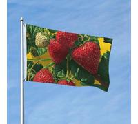 Drapeau 90 x 150 cm - Décoration d'extérieur robuste - Fraises avec drapeaux jaunes - En polyester 200D - Bannière de cour avec 2 œillets - Bannière d'intérieur et d'extérieur pour les vacances