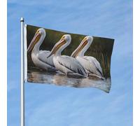 Drapeau 90 x 150 cm - Décoration d'extérieur robuste - Trois pélicans - En polyester 200D - Bannière de cour avec 2 œillets - Bannière d'intérieur et d'extérieur pour les vacances en toutes saisons