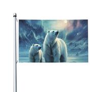 Drapeau 90 x 152 cm Bannière double face Décoration extérieure Drapeaux ours polaires aurores boréales_78819065 Drapeau 200D Heavy Garden Drapeaux en laiton Œillets en toile Bannière extérieure pour