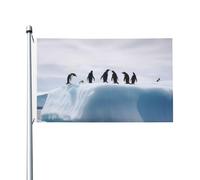 Drapeau 90 x 152 cm double face pour décoration d'extérieur, drapeaux de pingouins sur l'iceberg, drapeau de jardin lourd 200D, œillets en laiton, bannière extérieure pour les vacances