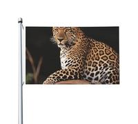 Drapeau 90X150cm, Léopard africain sur rocher Couleurs Vives Drapeau Pirate Personnalisée Suspendus Fanion pour Jardin Extérieur Fête