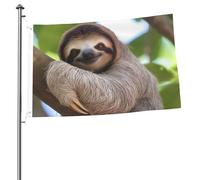 Drapeau « A Sloth on a Tree Branch » - 6 x 0,9 m - Impression double face - Drapeau de jardin pour l'extérieur - Bannière cadeau avec œillets - Toile de fond pour photo pour décoration intérieure et
