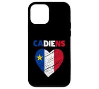 Drapeau acadien en forme de cœur gribouillé - Fiers patrimoine acadien français Coque pour iPhone 12 mini