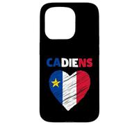 Drapeau acadien en forme de cœur gribouillé - Fiers patrimoine acadien français Coque pour iPhone 15 Pro