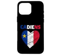 Drapeau acadien en forme de cœur gribouillé - Fiers patrimoine acadien français Coque pour iPhone 16 Pro Max