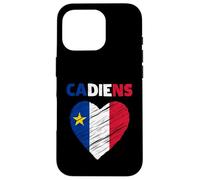 Drapeau acadien en forme de cœur gribouillé - Fiers patrimoine acadien français Coque pour iPhone 16 Pro