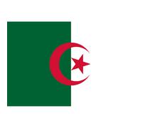 Drapeau Algérie (19.5x13cm) - Sticker/Autocollant