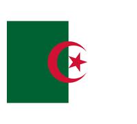 Drapeau Algérie - 5x3.3cm - Sticker/Autocollant