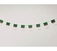 Drapeau Algérie - Guirlande Fanions 40pcs 14x21cm, 11.4M