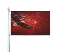Drapeau américain avec aigle planant dans un feu d'artifice, bannière de vœux de saison avec œillets, décoration d'intérieur ou d'extérieur