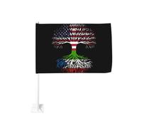 Drapeau américain de Guinée équatoriale avec racines d'arbre, fixation par clip pour vitre de voiture, protection solaire, bannière double face 30 x 45 cm pour camion