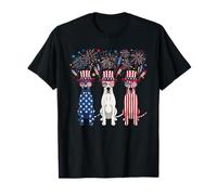 Drapeau américain drôle feu d'artifice Great Dane USA 4 juillet T-Shirt