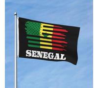 Drapeau américain du Sénégal, drapeaux de jardin sénégalais, printemps, été, automne, hiver, décoration d'intérieur, bannière double face, légère, 90 x 150 cm, bannières d'extérieur amusantes