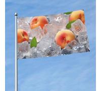 Drapeau amusant de 0,9 x 1,5 m en forme de cubes de glace pêche pour toutes les saisons pour décoration de dortoir, fête en plein air