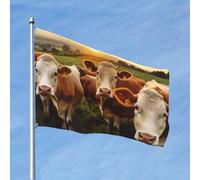 Drapeau amusant de 1,2 x 1,8 m en forme de vaches animalières pour toutes les saisons pour décoration de dortoir, fête en plein air